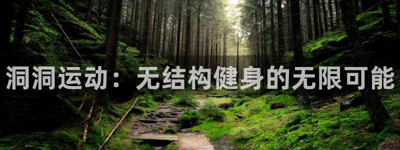 三亿体育官方正版app娱乐是那个系列的台子:洞洞运动:无结构