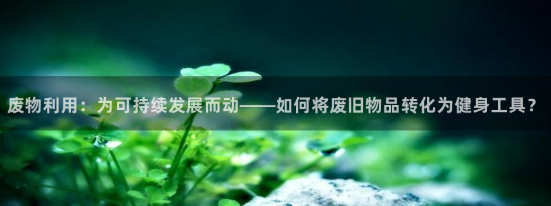 三亿体育官方正版app集团简介:废物利用:为可持续发展而动—