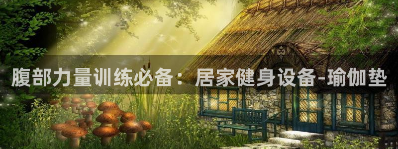 三亿体育官方正版app官网:腹部力量训练必备:居家健身设备-